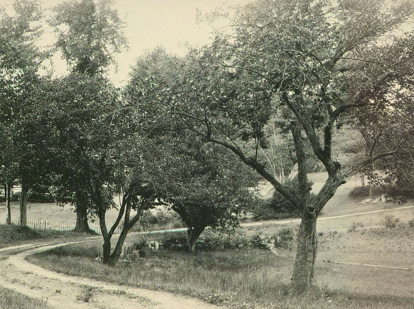 A Beauty Spot Plymouth NH in 1905 Vintage Print (7 Sizes) - Restored