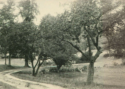 A Beauty Spot Plymouth NH in 1905 Vintage Print (7 Sizes) - Restored