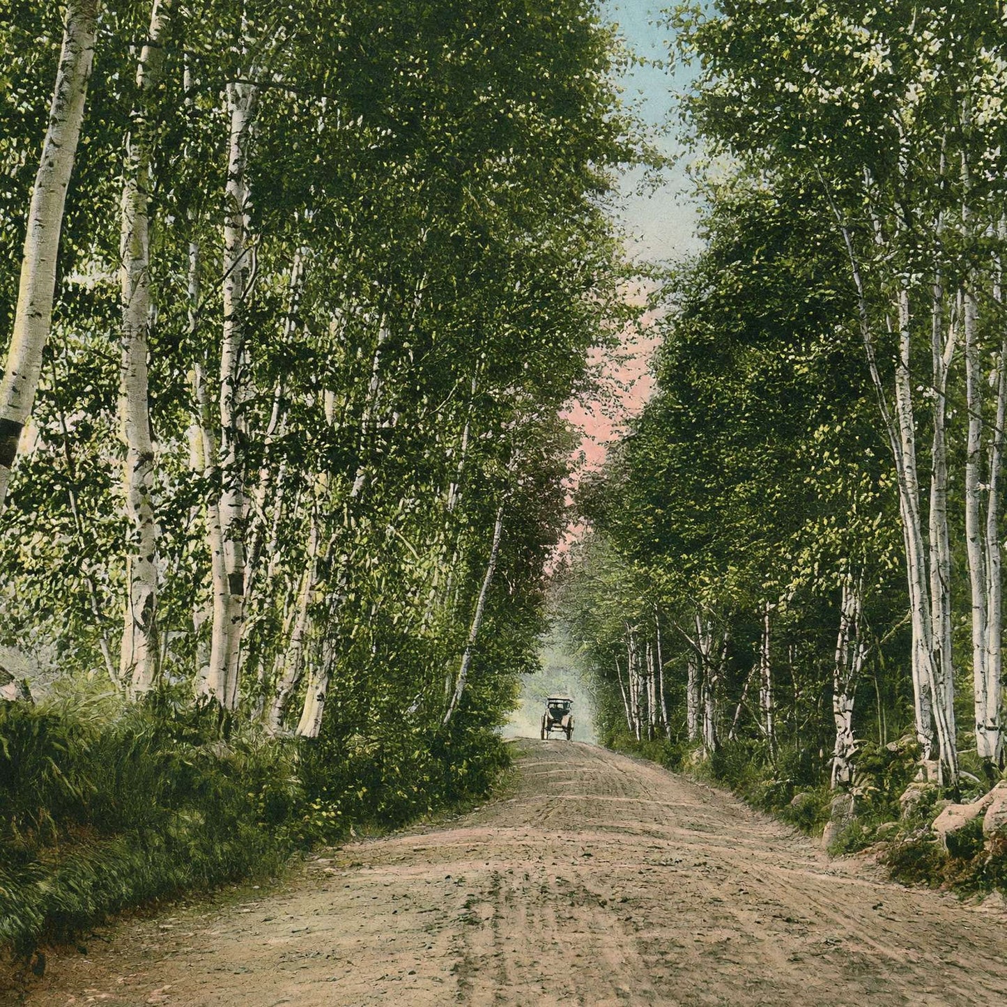 Lovers Lane Gale River Road Bethlehem NH in 1911 Vintage Print (7 Sizes)