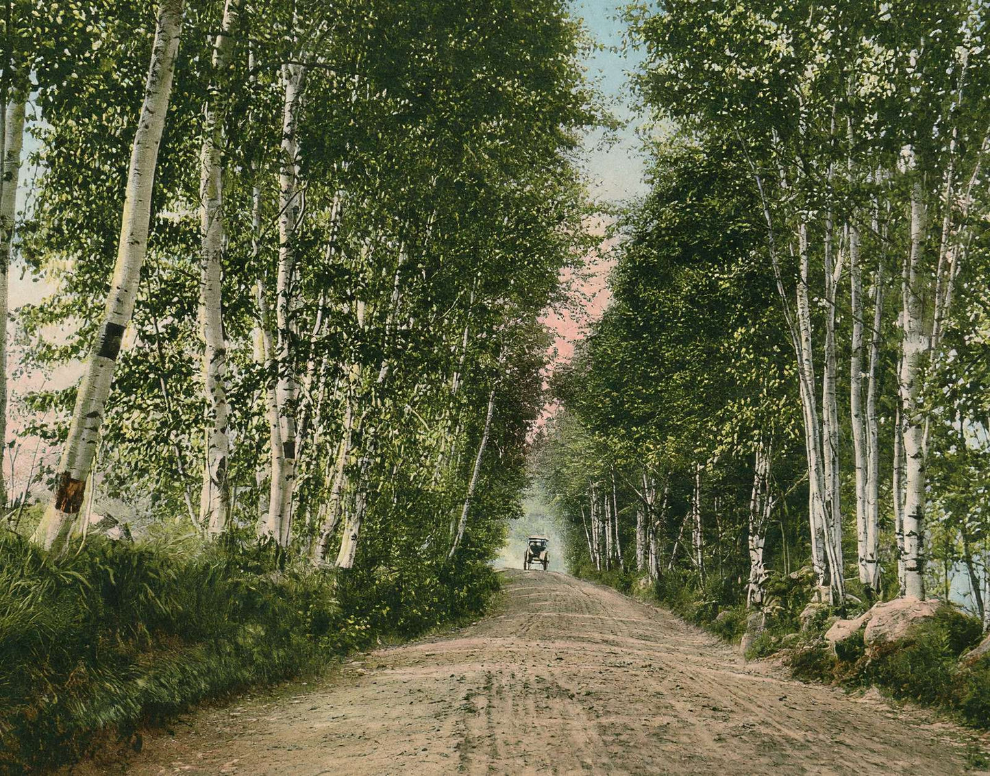 Lovers Lane Gale River Road Bethlehem NH in 1911 Vintage Print (7 Sizes)