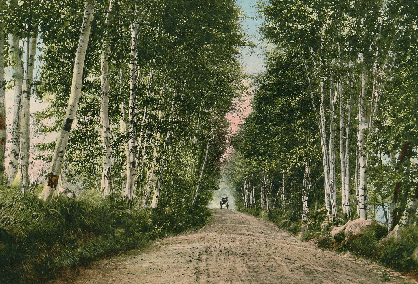 Lovers Lane Gale River Road Bethlehem NH in 1911 Vintage Print (7 Sizes)