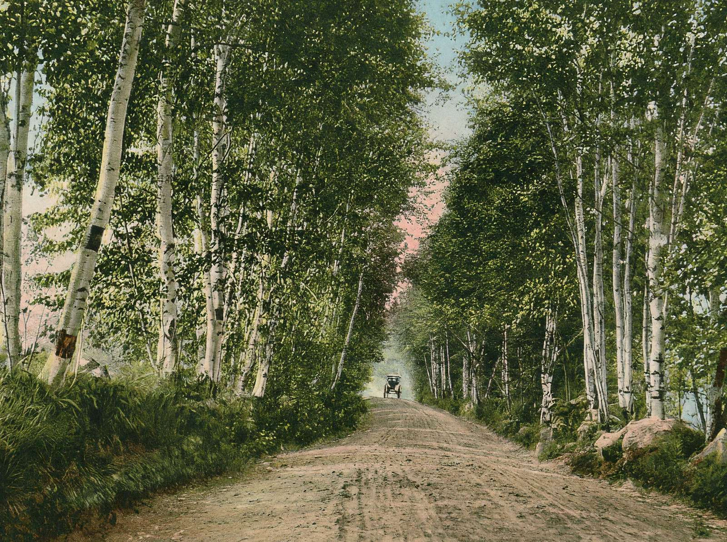 Lovers Lane Gale River Road Bethlehem NH in 1911 Vintage Print (7 Sizes)