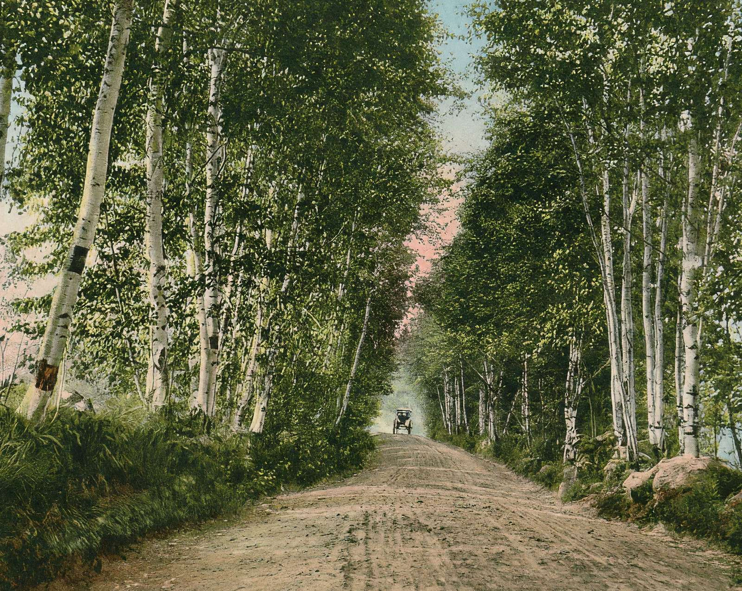 Lovers Lane