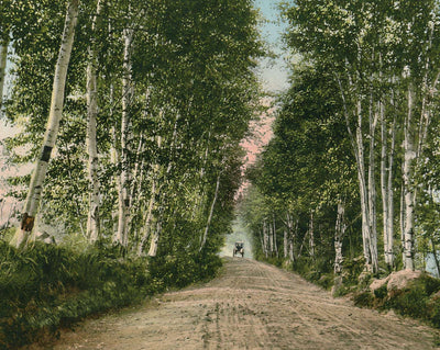 Lovers Lane