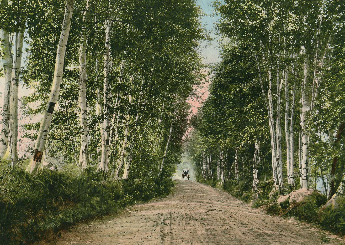 Lovers Lane Gale River Road Bethlehem NH in 1911 Vintage Print (7 Sizes)