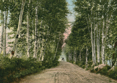 Lovers Lane Gale River Road Bethlehem NH in 1911 Vintage Print (7 Sizes)