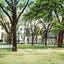 Bienville Square Mobile Alabama in 1905 Vintage Print (7 Sizes) - High Quality