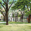 Bienville Square in Mobile in 1905 vintage print