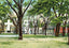 Bienville Square Mobile Alabama in 1905 Vintage Print (7 Sizes) - High Quality