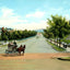 Highland Avenue East from 20th Street Birmingham AL 1906 Vintage Print