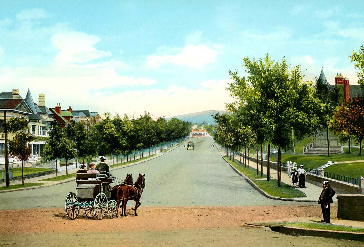 Highland Avenue East from 20th Street Birmingham AL 1906 Vintage Print