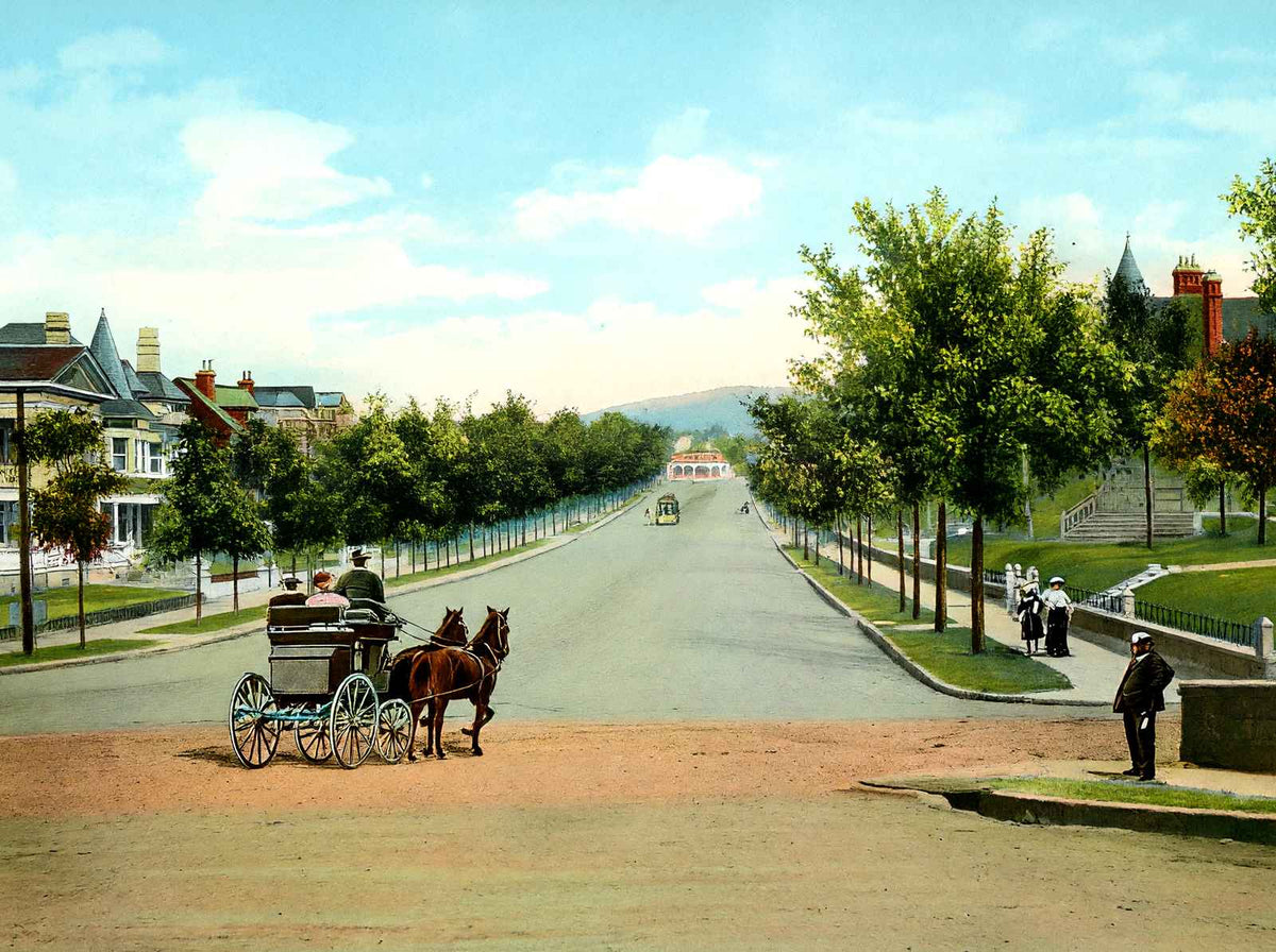 Highland Avenue East from 20th Street Birmingham AL 1906 Vintage Print