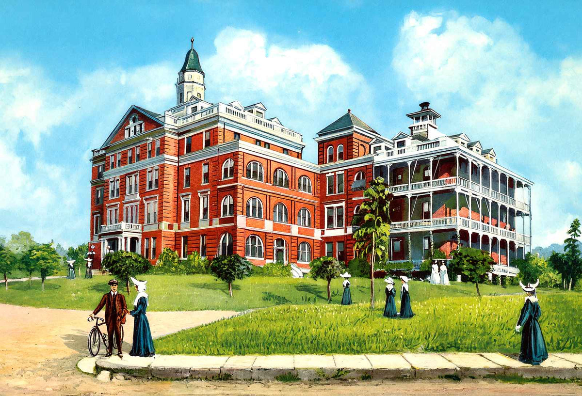 St Vincent's Hospital Birmingham Alabama in 1906 Vintage Print (7 Sizes)