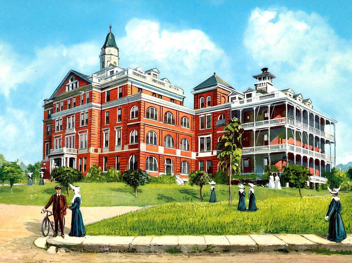 St Vincent's Hospital Birmingham Alabama in 1906 Vintage Print (7 Sizes)