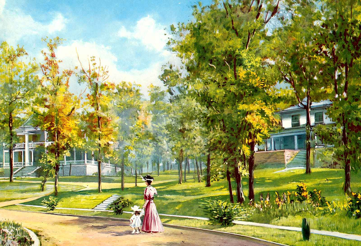 Residences in Glen Iris Park Birmingham Alabama in 1906 Vintage Print