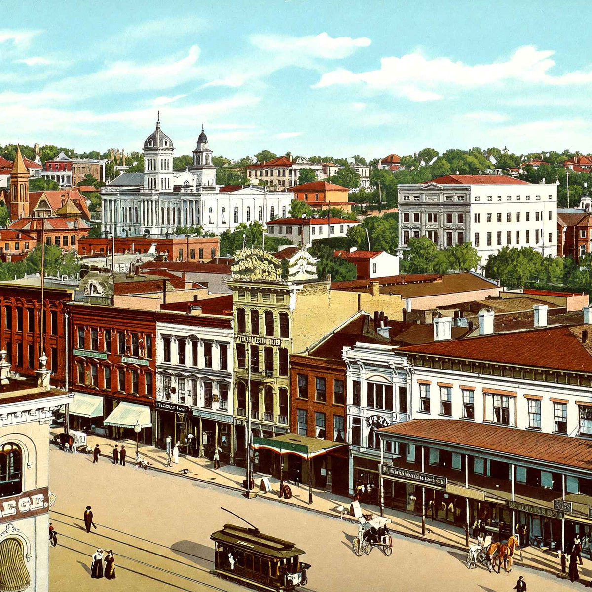 Bird's Eye View Montgomery Alabama in 1906 Vintage Print (7 Sizes)