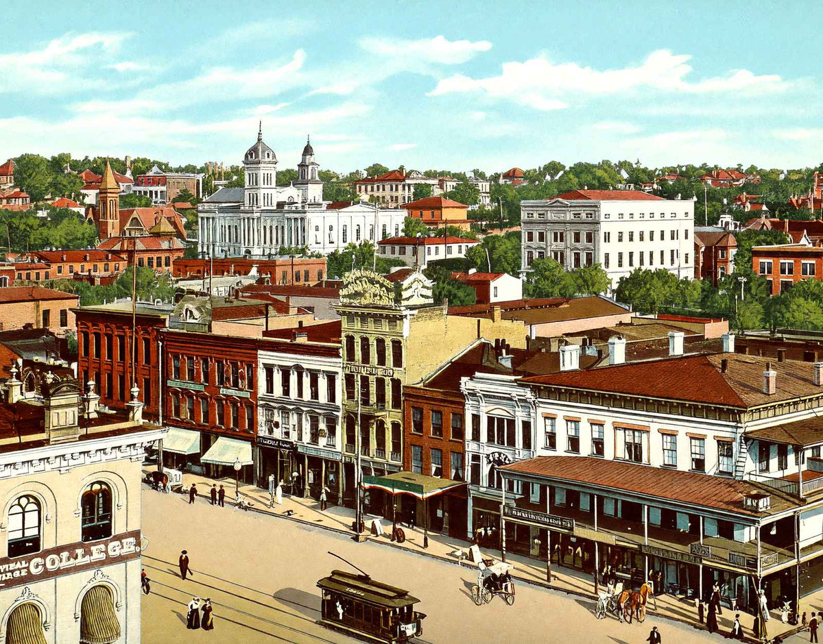 Bird's Eye View Montgomery Alabama in 1906 Vintage Print (7 Sizes)
