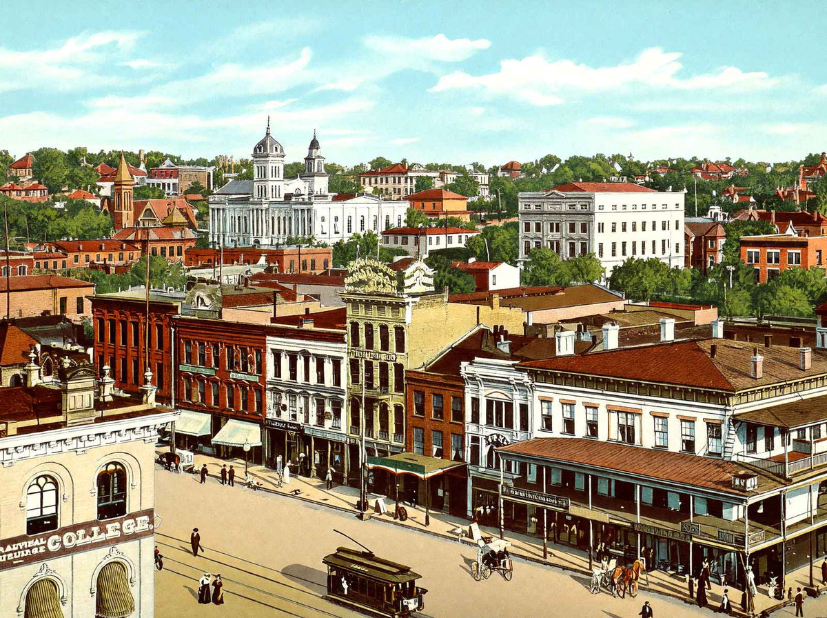 Bird's Eye View Montgomery Alabama in 1906 Vintage Print (7 Sizes)