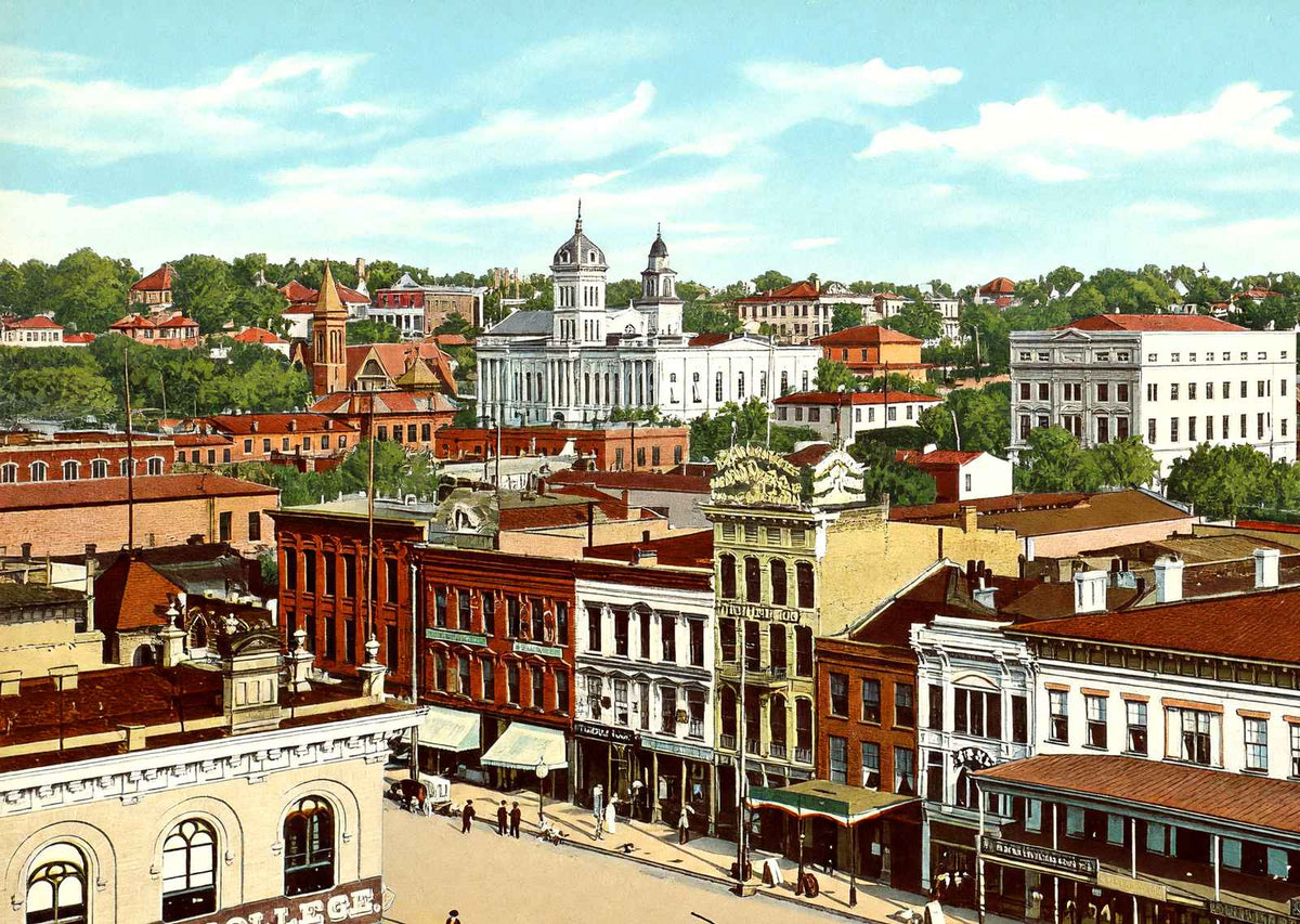 Bird's Eye View Montgomery Alabama in 1906 Vintage Print (7 Sizes)
