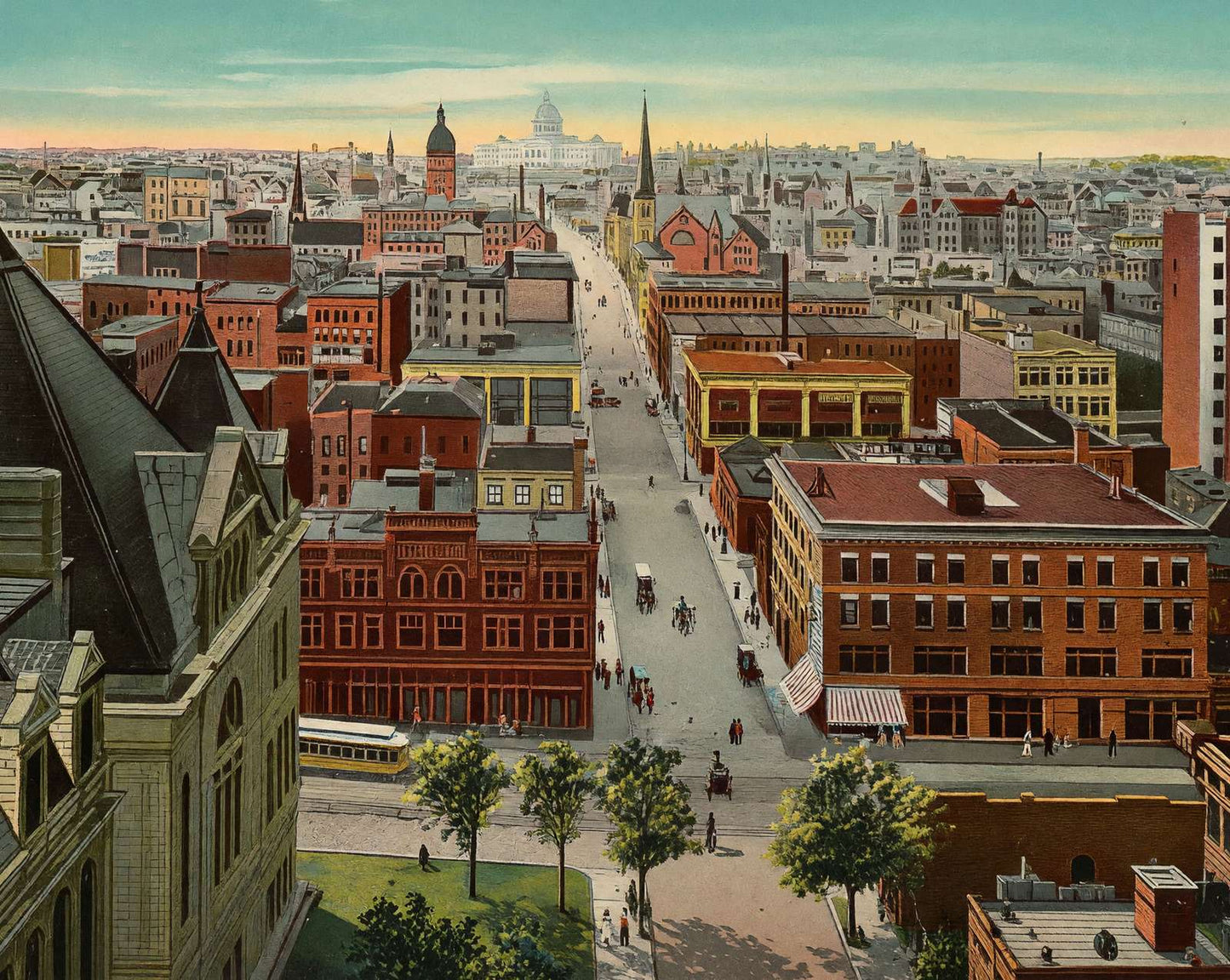 Bird's-Eye View from Cedar Street