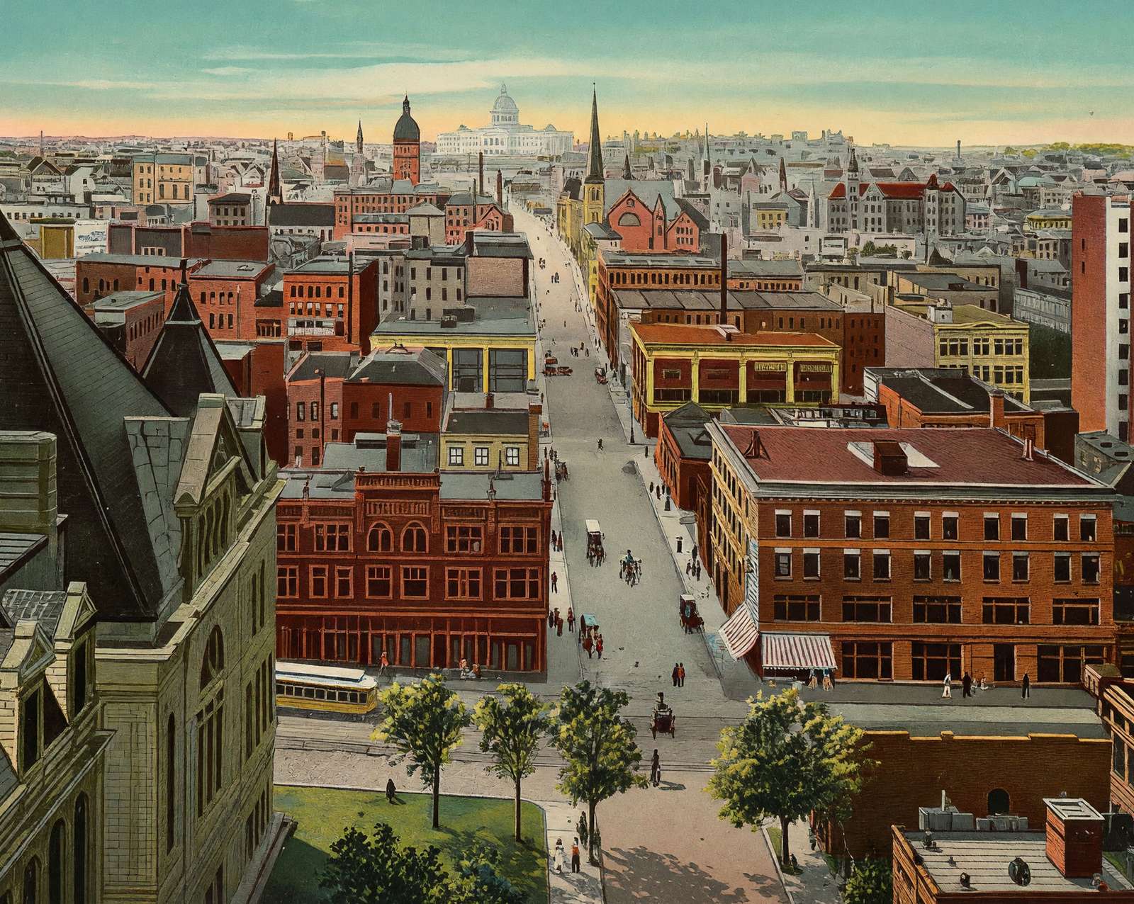 Bird's-Eye View from Cedar Street