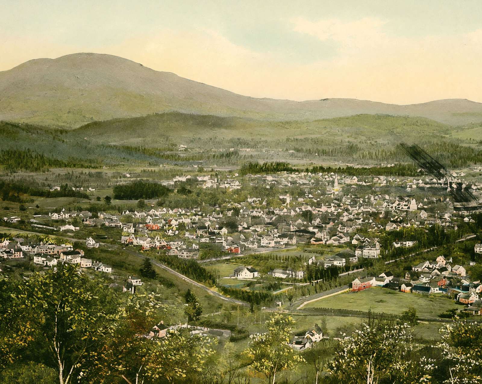 Bird's-Eye View