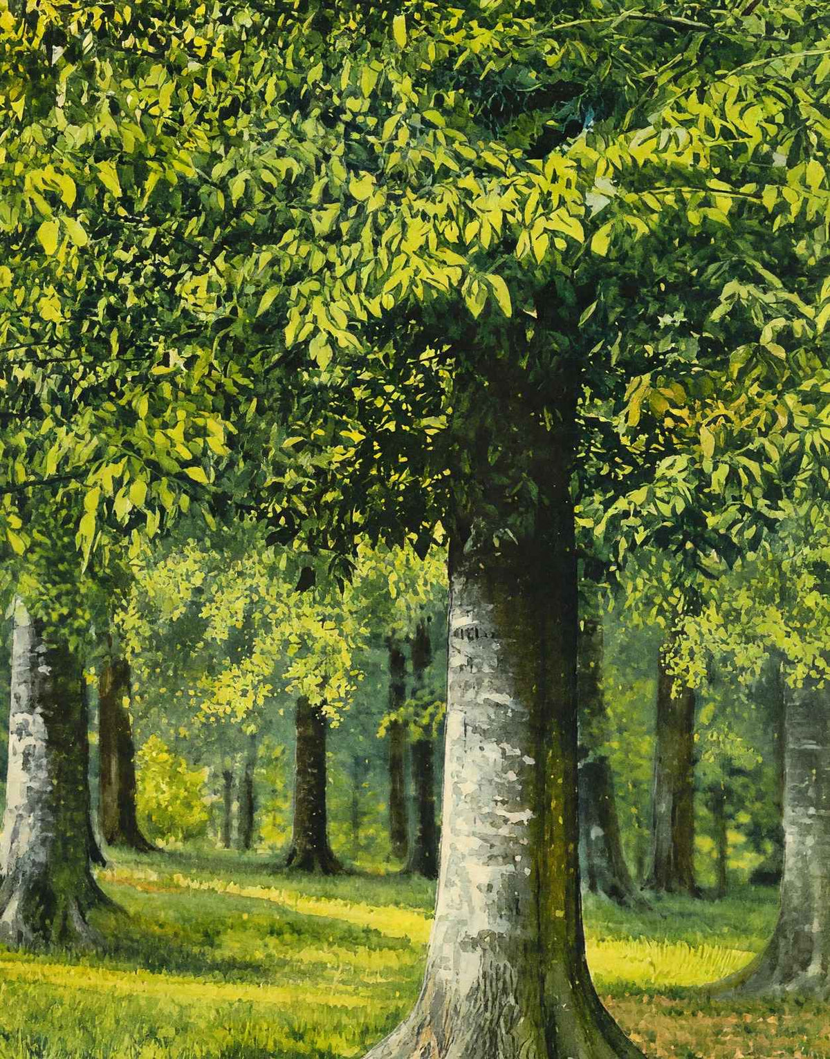 Bit of Beechwood Cherokee Park Louisville in 1907 Art Print (7 Sizes)