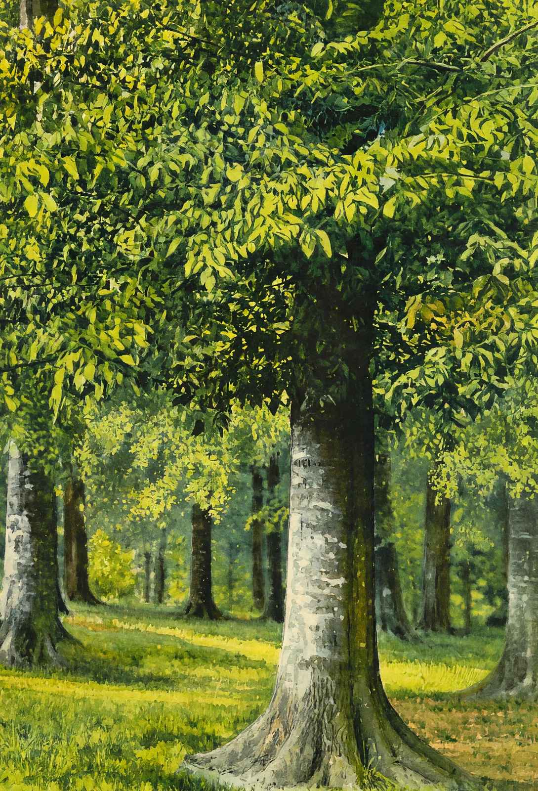 Bit of Beechwood Cherokee Park Louisville in 1907 Art Print (7 Sizes)