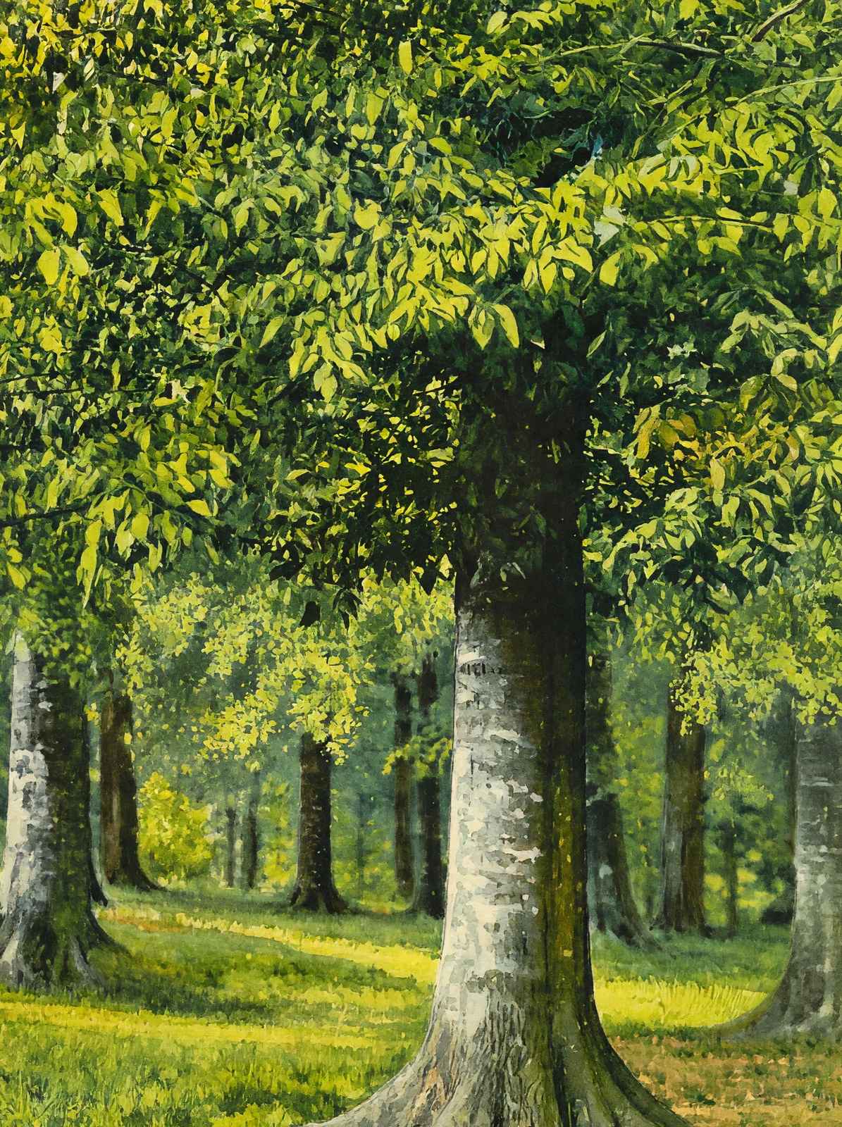 Bit of Beechwood Cherokee Park Louisville in 1907 Art Print (7 Sizes)