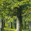 Bit of Beechwood