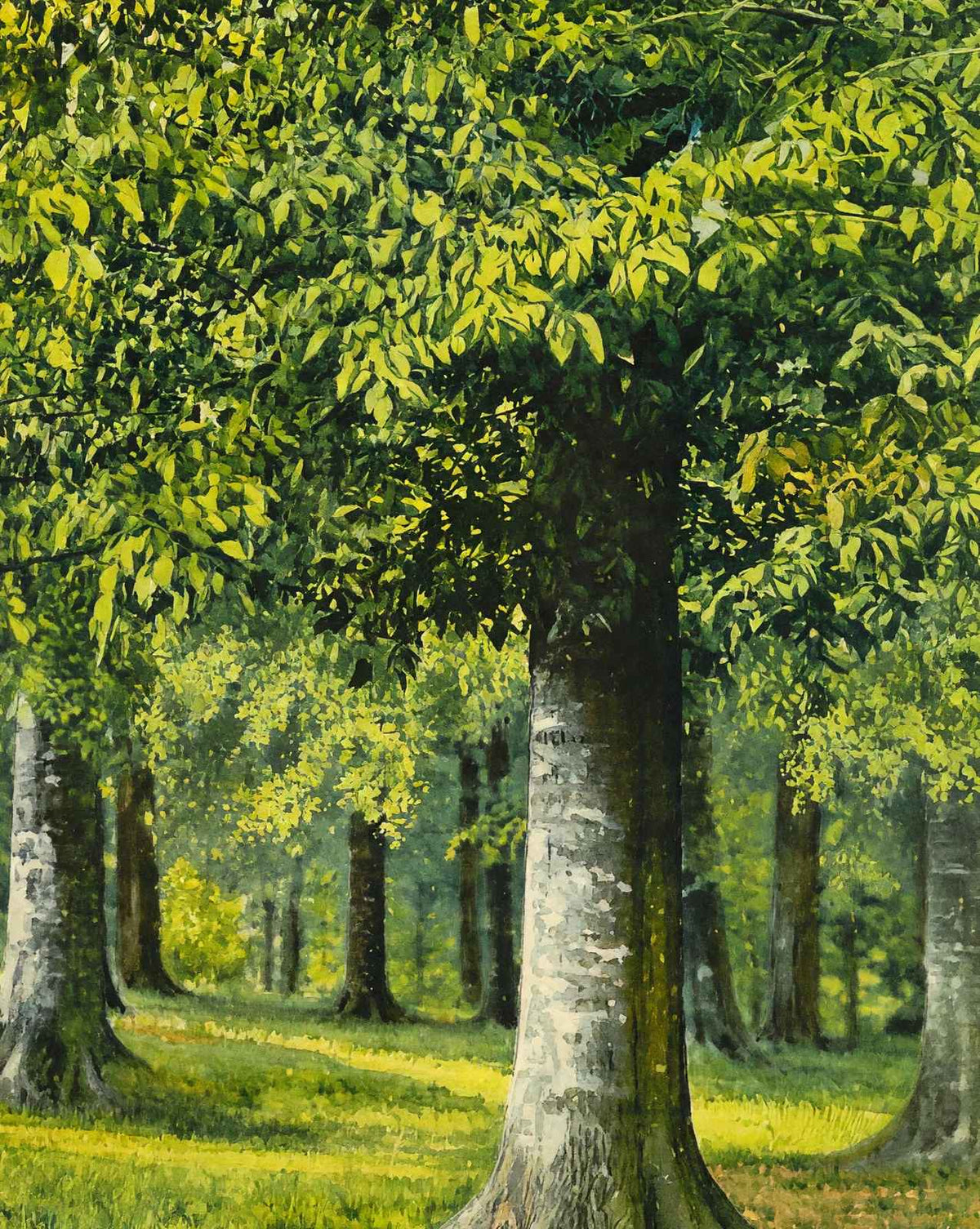 Bit of Beechwood