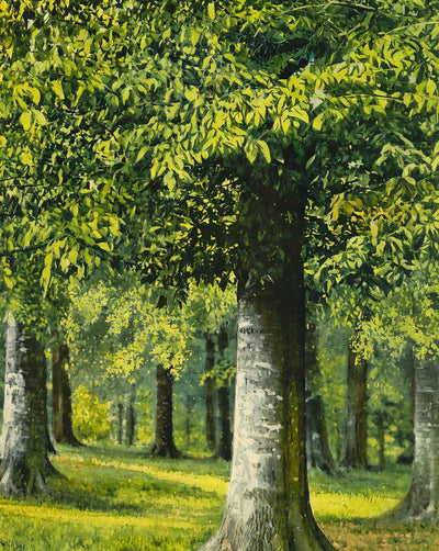Bit of Beechwood