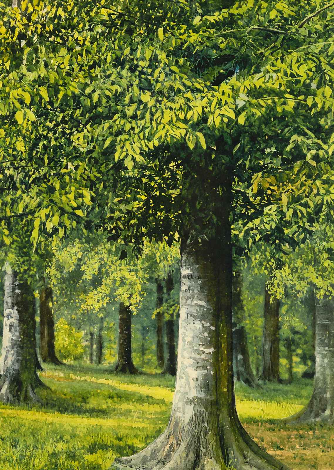 Bit of Beechwood Cherokee Park Louisville in 1907 Art Print (7 Sizes)