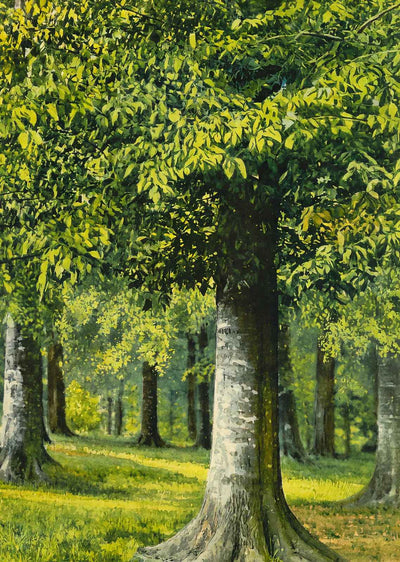 Bit of Beechwood Cherokee Park Louisville in 1907 Art Print (7 Sizes)