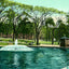 Frog Pond Boston Common, Massachusetts in 1907 Vintage Print (7 Sizes)