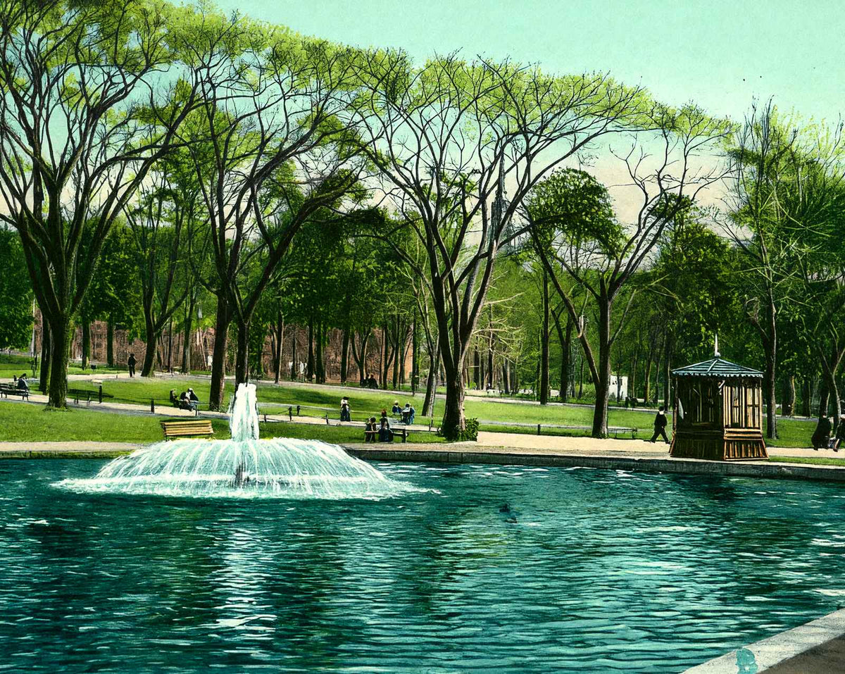 Frog Pond