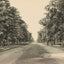 The Boulevard Houston Heights in 1906 Vintage Print (7 Sizes) - Reproduction