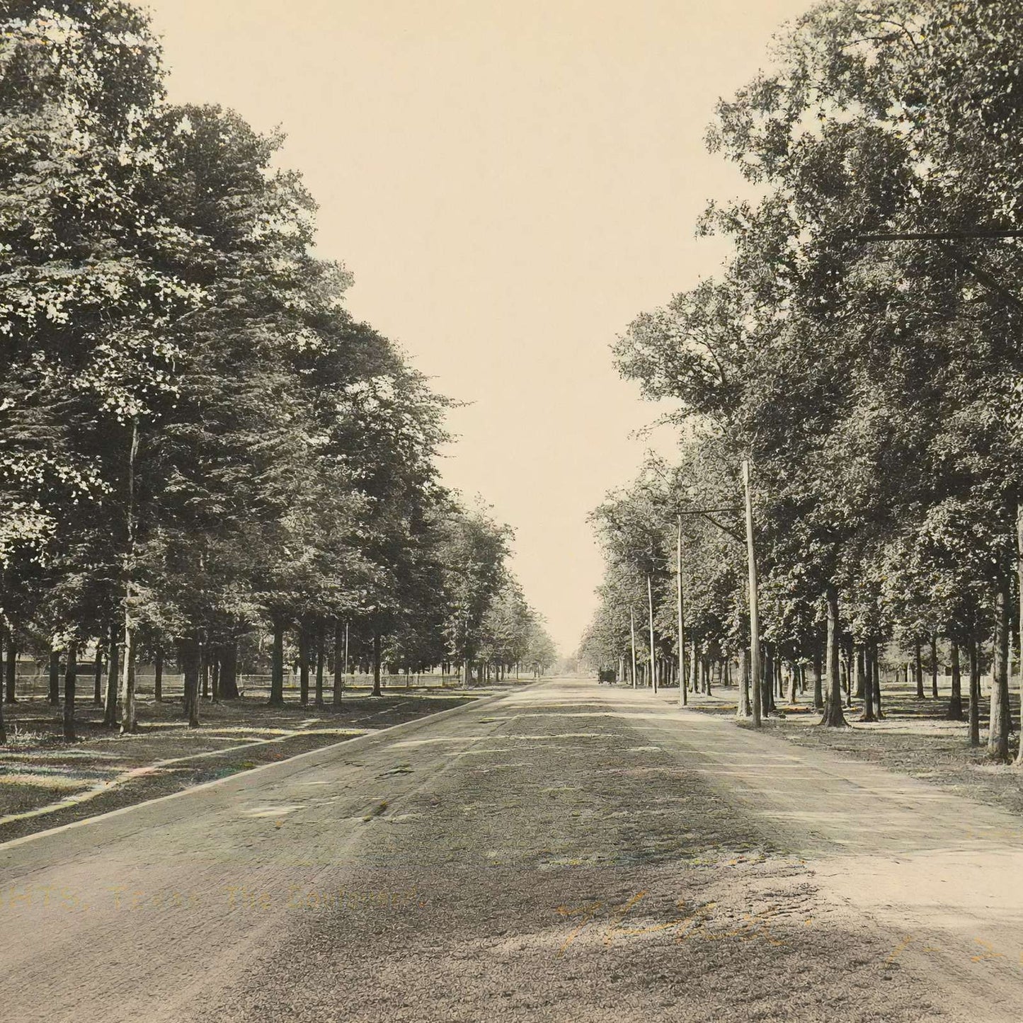 The Boulevard Houston Heights in 1906 Vintage Print (7 Sizes) - Reproduction