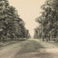 The Boulevard Houston Heights in 1906 Vintage Print (7 Sizes) - Reproduction