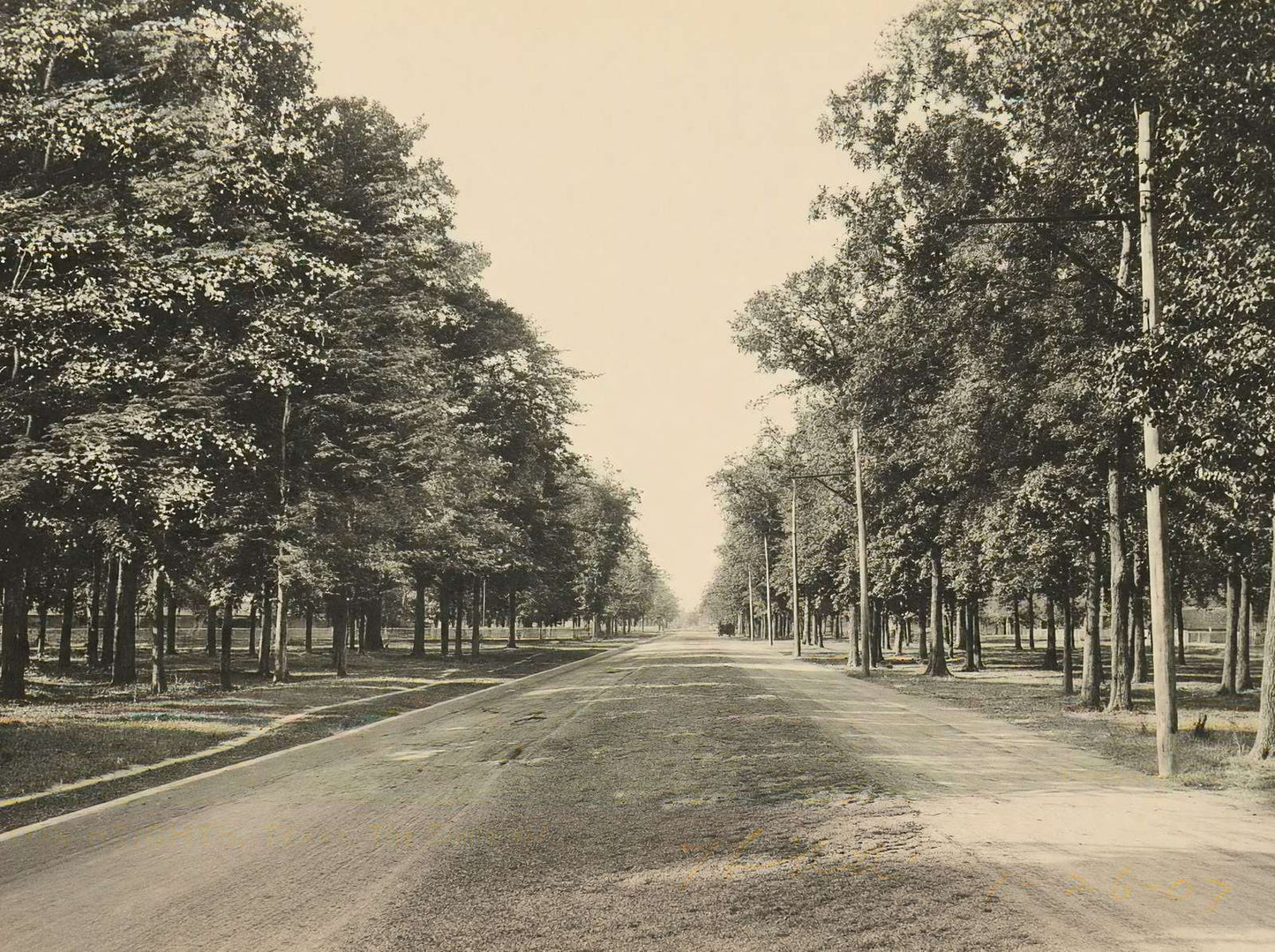 The Boulevard Houston Heights in 1906 Vintage Print (7 Sizes) - Reproduction