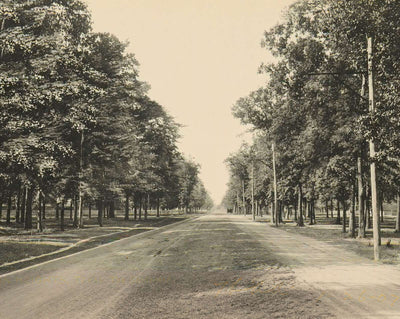 The Boulevard