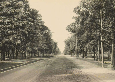 The Boulevard Houston Heights in 1906 Vintage Print (7 Sizes) - Reproduction