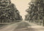 The Boulevard Houston Heights in 1906 Vintage Print (7 Sizes) - Reproduction