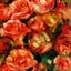 Bouquet of Flowers Fine Art Print 1915 by Pierre-Auguste Renoir (6 Sizes)