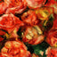 Bouquet of Flowers Fine Art Print 1915 by Pierre-Auguste Renoir (6 Sizes)