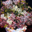 Bouquet of Flowers 1878 Painting by Pierre-Auguste Renoir Art Print (6 Sizes)