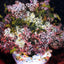 Bouquet of Flowers 1878 Painting by Pierre-Auguste Renoir Art Print (6 Sizes)