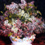 Bouquet of Flowers (1878) art print by Pierre-Auguste Renoir (1878)