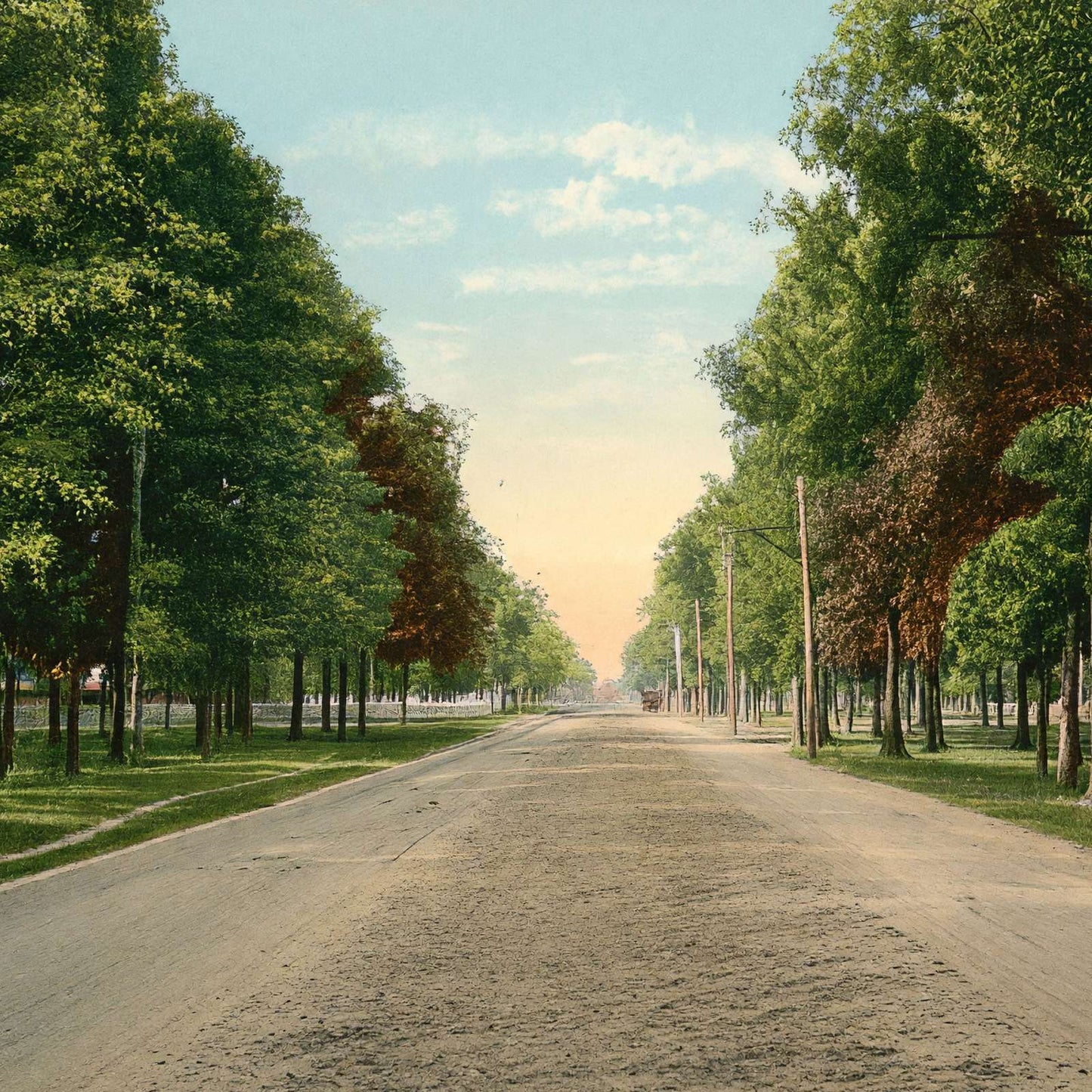 The Boulevard Houston Heights in 1906 Vintage Print (7 Sizes) - Restored