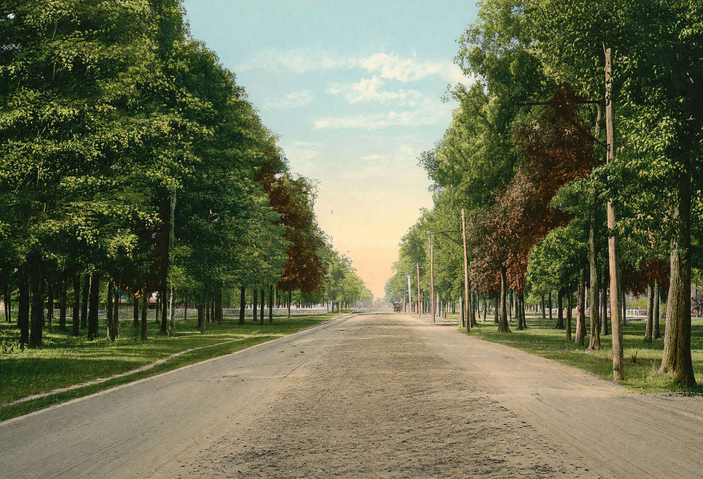The Boulevard Houston Heights in 1906 Vintage Print (7 Sizes) - Restored